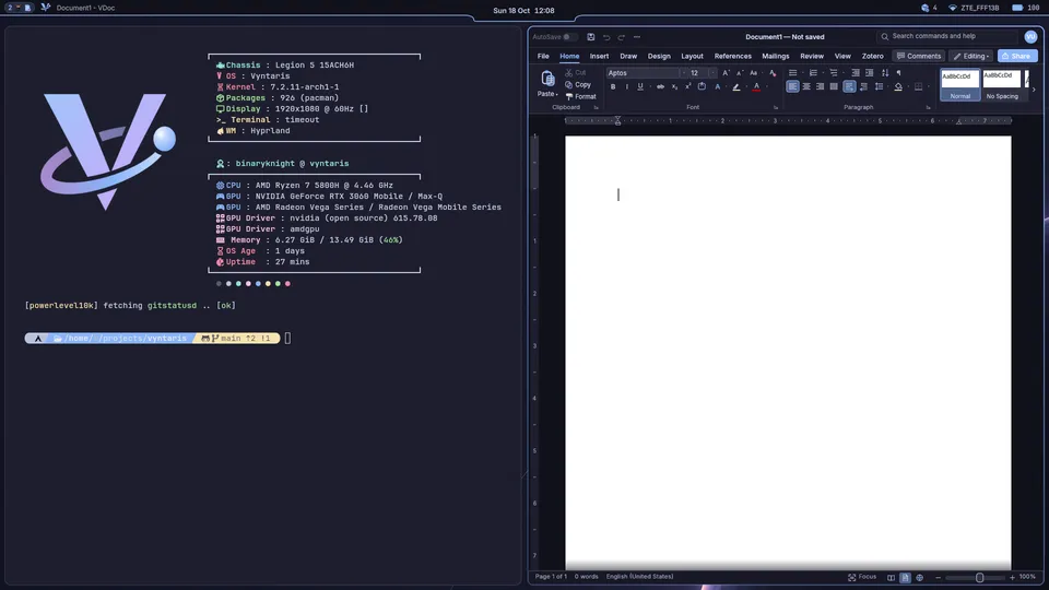 Two windows tiled side by side: a terminal and VDoc.